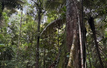 2023 09 23 Amazonas 2 3