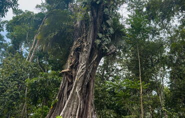 2026 09 23 Amazonas 22